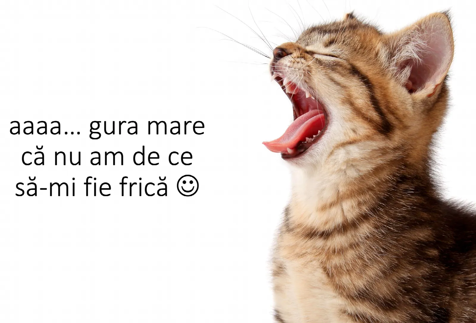 Stomatologul ne îndeamnă: „Fără teamă!”